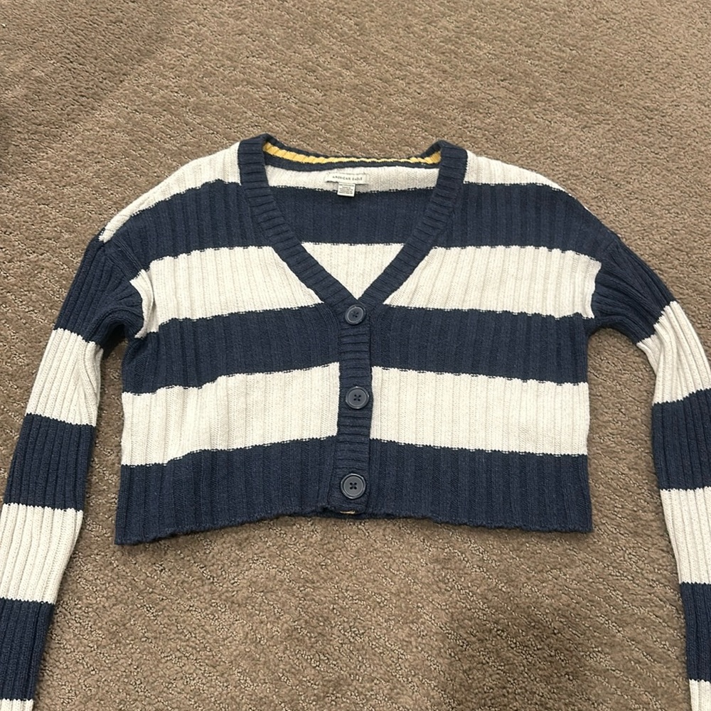 Striped American eagle sweater